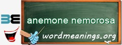 WordMeaning blackboard for anemone nemorosa